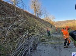 Arbeiten bei der Böschungspflege 2026